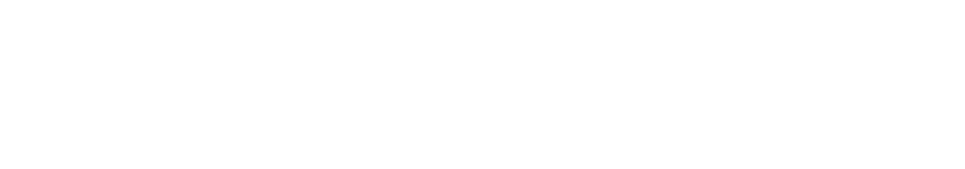 Regional Director TRAVEL