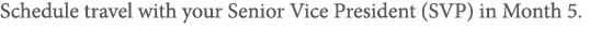 Schedule travel with your Senior Vice President (SVP) in Month 5 