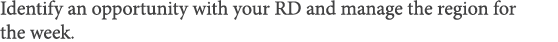 Identify an opportunity with your RD and manage the region for the week 